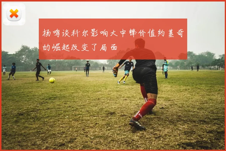 杨鸣谈科尔影响大中锋价值约基奇的崛起改变了局面