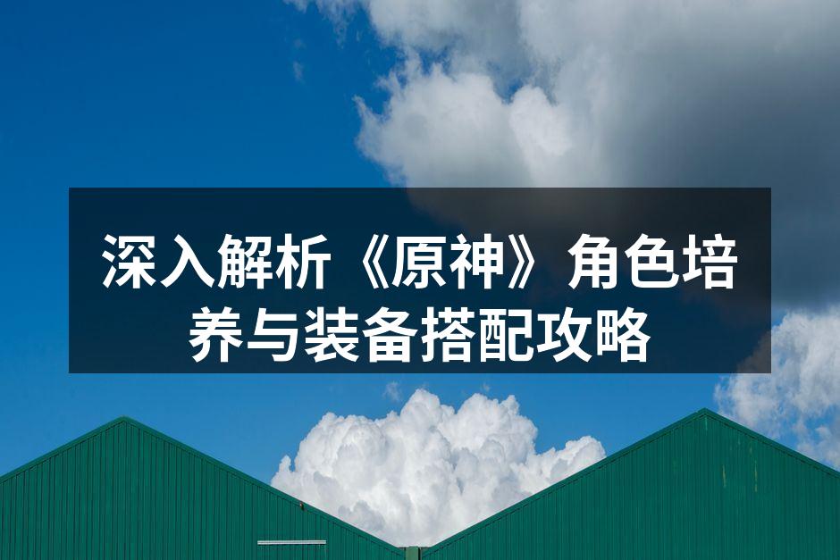 深入分析角色培养与装备搭配