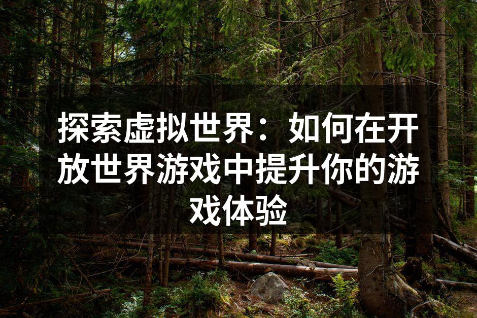 虚拟世界的奇妙之旅